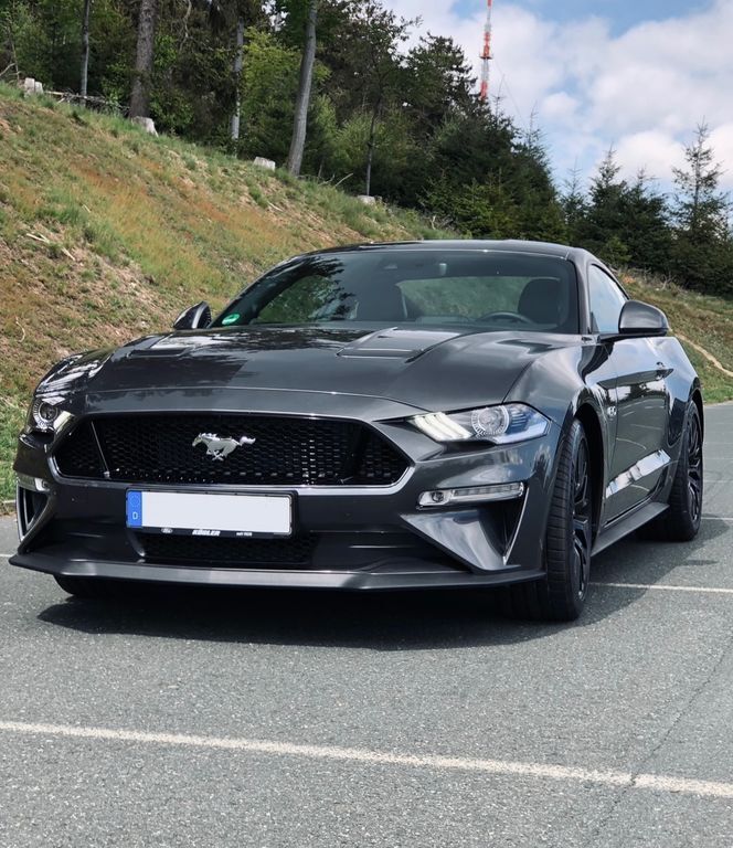 Mustang