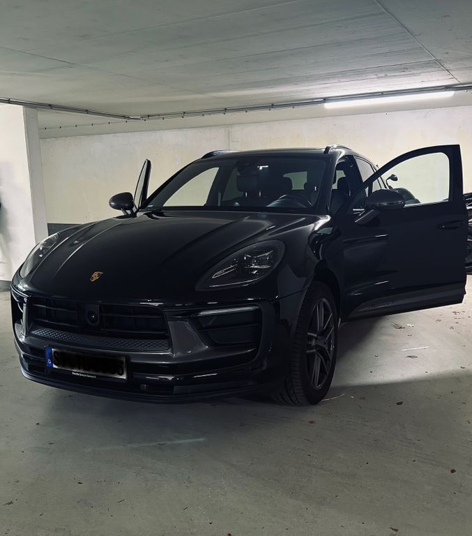 Macan