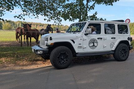 Jeep Wrangler 85.000 km 43.500 &euro; Köln 50765