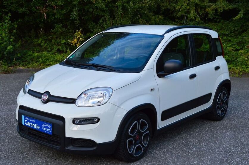 Panda