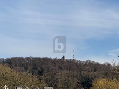 PERFEKTE WOHNLAGE UND UNVERBAUBARE FERNSICHT - Grundstück Velbert Langenberg | Angebot:24857540