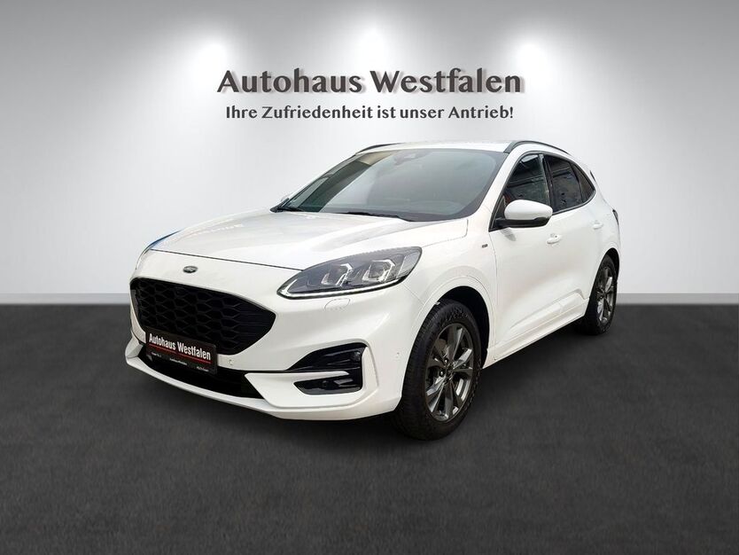 Kuga