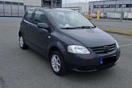 VW Fox