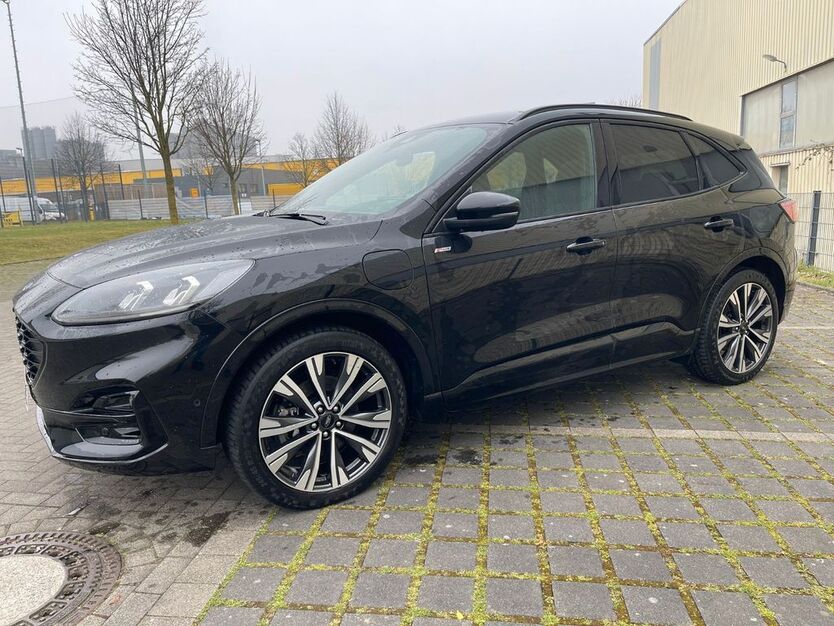 Kuga