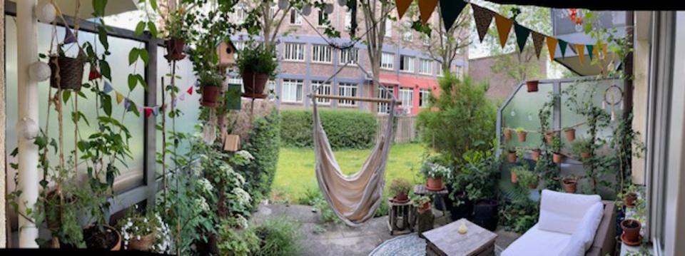 Erdgeschoßwohnung Köln Ehrenfeld - 1 Zimmer, 575&euro; | Angebot:24801505