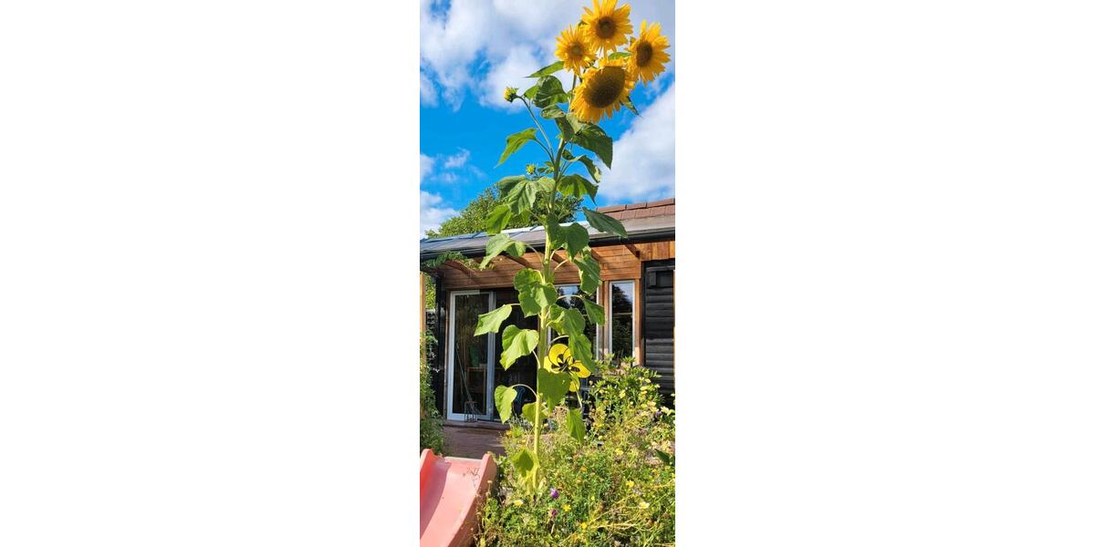 Einfamilienhaus Radevormwald - 1 Zimmer, 30 m&sup2;, 149.000&euro; | Angebot:27281392