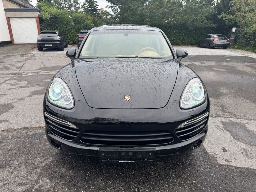Cayenne