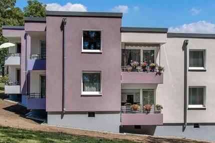 Wohnung Remscheid Gemarkung Bergisch Born - 2 Zimmer, 47 m&sup2;, 332&euro; | Angebot:24771177