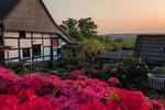 Einfamilienhaus Essen Stadtbezirk II - 4 Zimmer, 113 m&sup2;, 495.000&euro; | Angebot:26302954