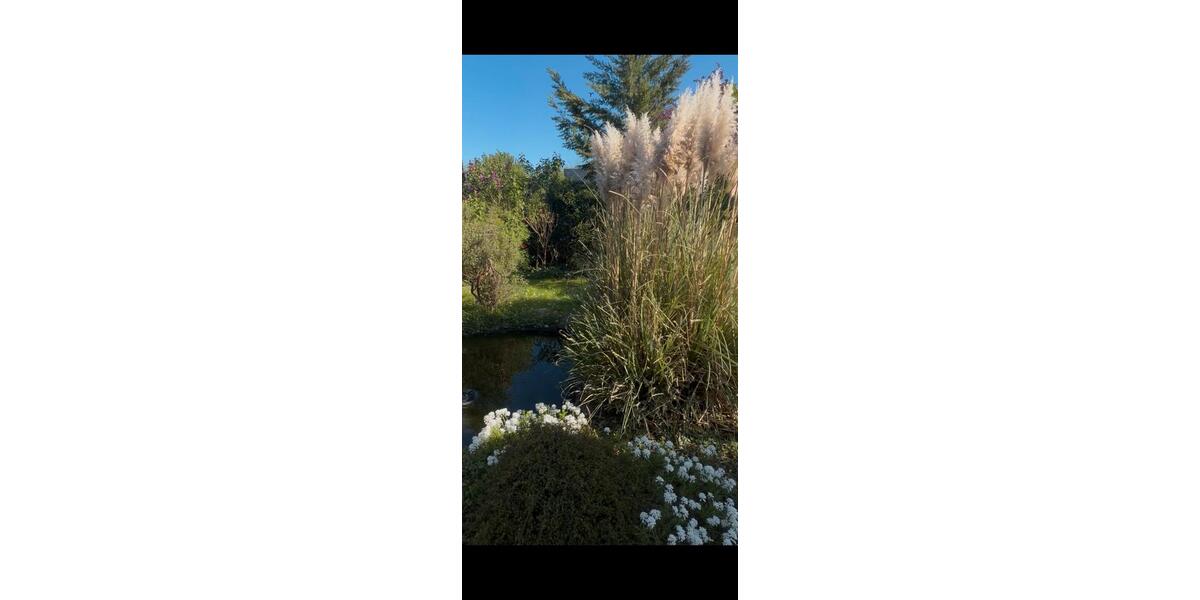 Bungalow Köln Nippes - 5 Zimmer, 160 m&sup2;, 2.460&euro; | Angebot:26652614