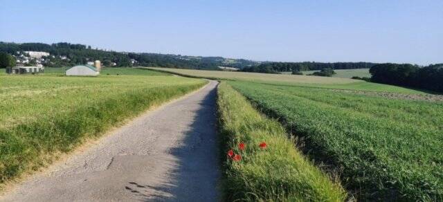 Etagenwohnung Velbert Neviges - 3 Zimmer, 87 m&sup2;, 160.000&euro; | Angebot:23944324