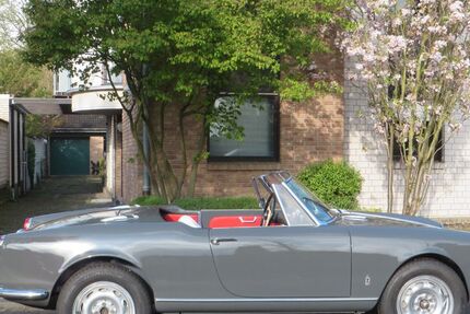 Alfa Romeo Spider 70.000 km 36.000 &euro; Pulheim 50259