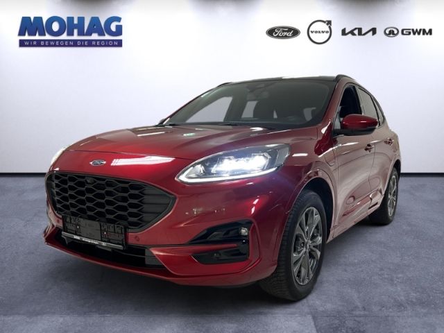 Kuga