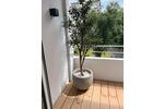 Etagenwohnung Düsseldorf Stadtbezirk 5 - 1 Zimmer, 40 m&sup2;, 298.000&euro; | Angebot:26677852