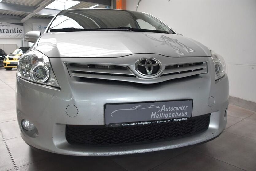 Auris