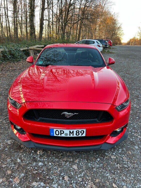 Mustang