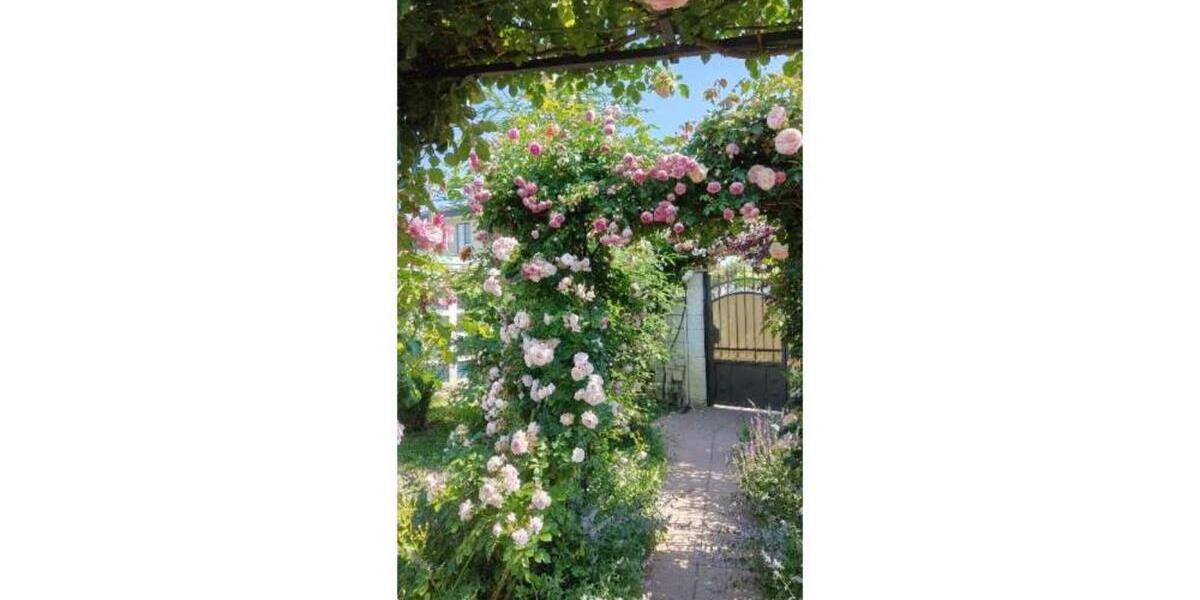 Einfamilienhaus Wuppertal Elberfeld - 695.000&euro; | Angebot:24784099