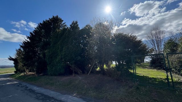 Provisionsfrei* Exklusives weitläufiges Baugrundstück in Höhenlage mit traumhaften Fernblick zimmer