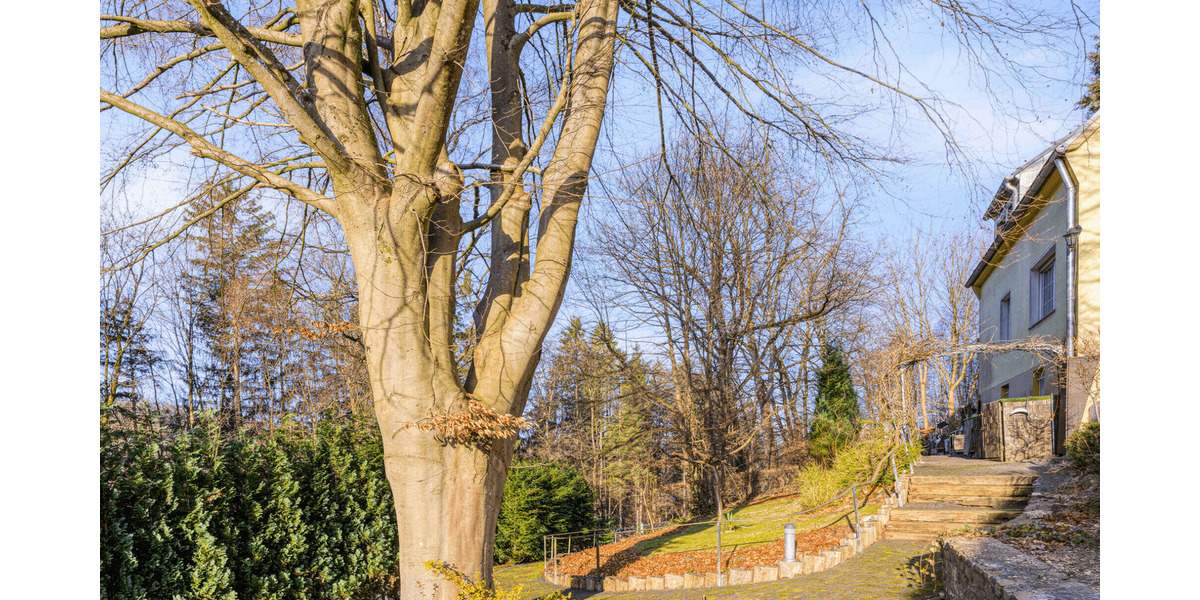 Einfamilienhaus Wipperfürth Ohl - 6 Zimmer, 123 m&sup2;, 270.000&euro; | Angebot:24825269