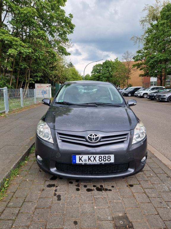 Auris