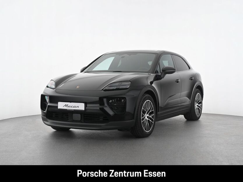 Macan