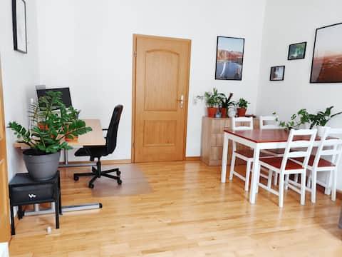 Etagenwohnung Köln Ehrenfeld - 2 Zimmer, 40 m&sup2;, 1.150&euro; | Angebot:26636762