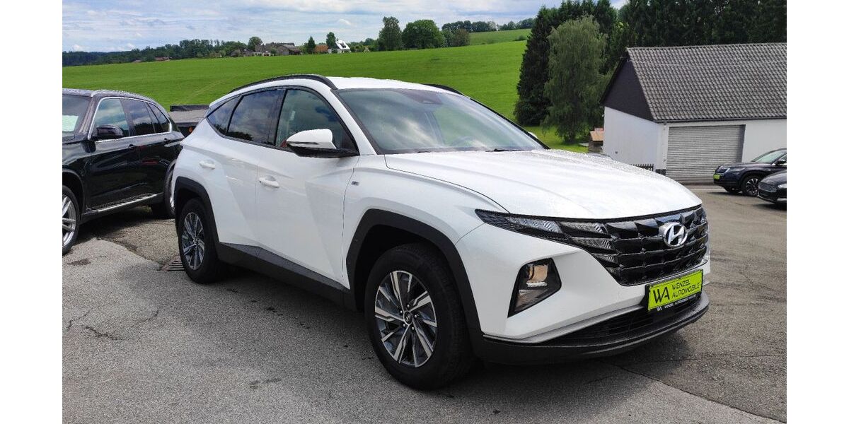 Hyundai TUCSON 96.363 km 19.995 &euro; Halver 58553