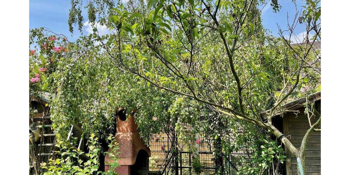 Reihenmittelhaus Köln Ossendorf - 4 Zimmer, 145 m&sup2;, 2.750&euro; | Angebot:24736531