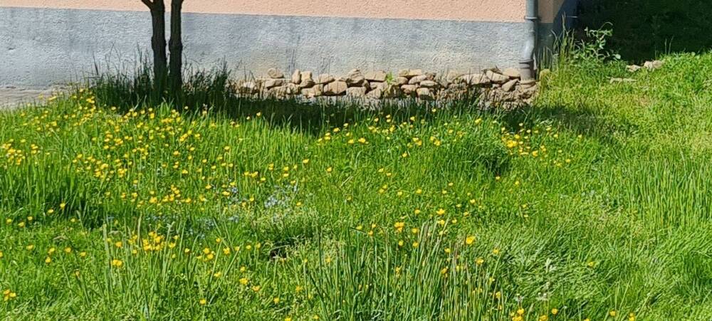 Freistehendes Einfamilienhaus in Leverkusen-Opladen 3 zimmer