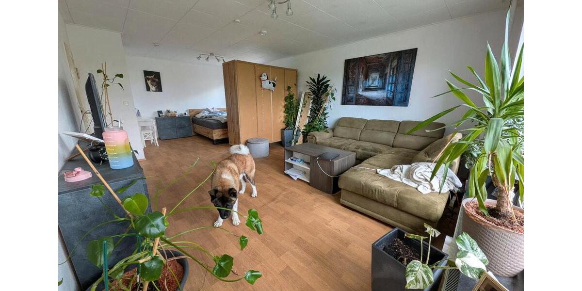Etagenwohnung Leverkusen Alkenrath - 1.5 Zimmer, 47 m&sup2;, 600&euro; | Angebot:25962579