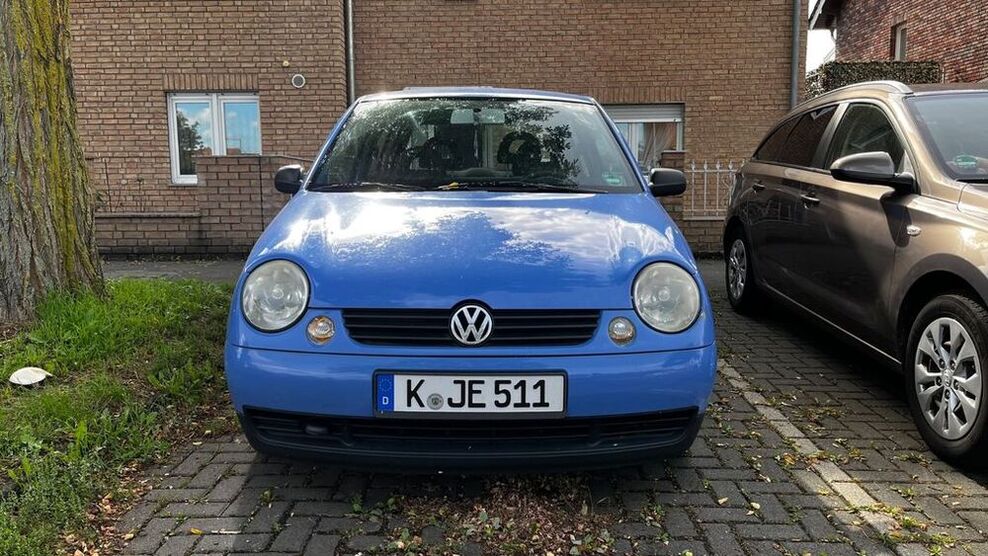 Lupo
