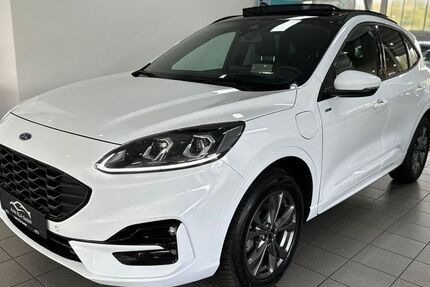 Ford Kuga 25.000 km 25.990 € Heiligenhaus 42579