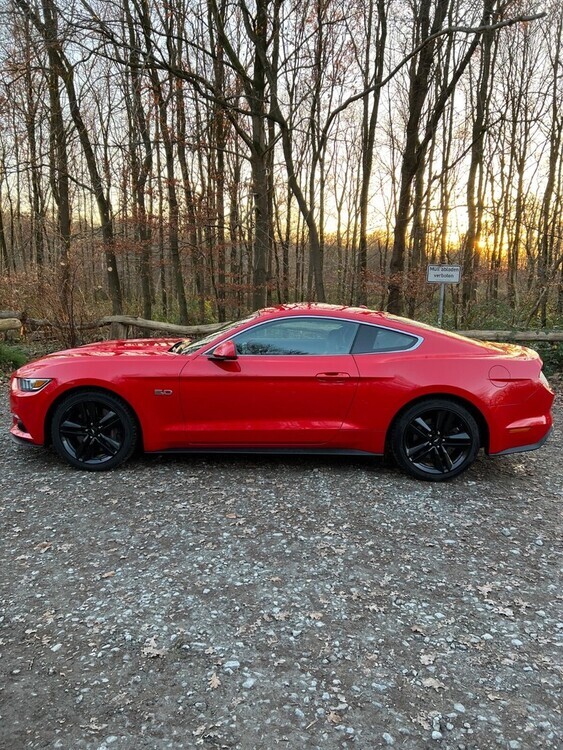 Mustang