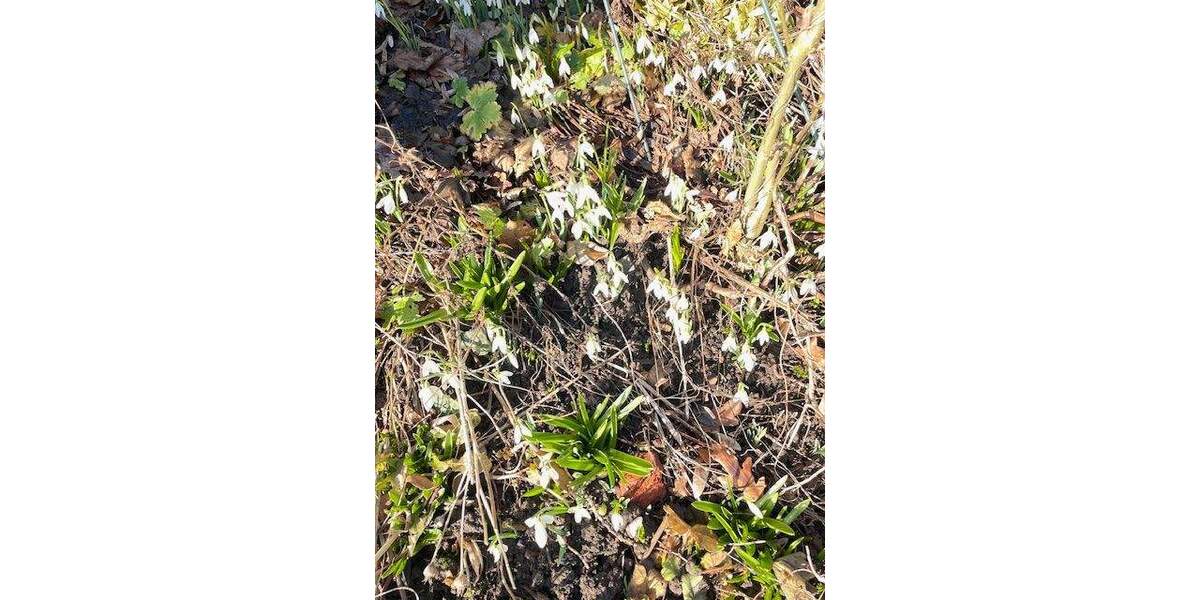 Reihenmittelhaus Wuppertal Elberfeld - 6 Zimmer, 150 m&sup2;, 449.000&euro; | Angebot:24826092