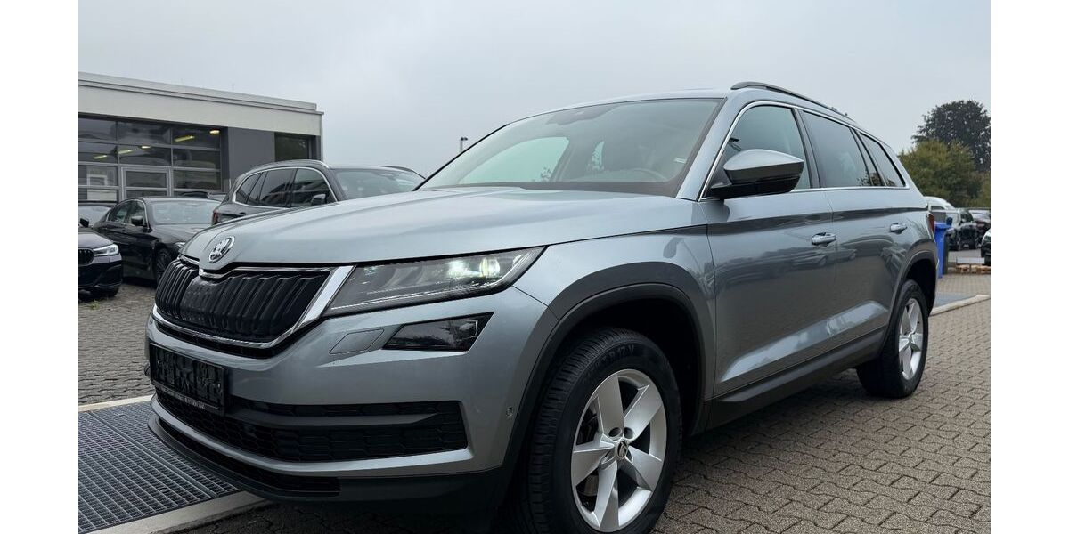 Skoda Kodiaq 180.000 km 18.990 € Hilden 40721