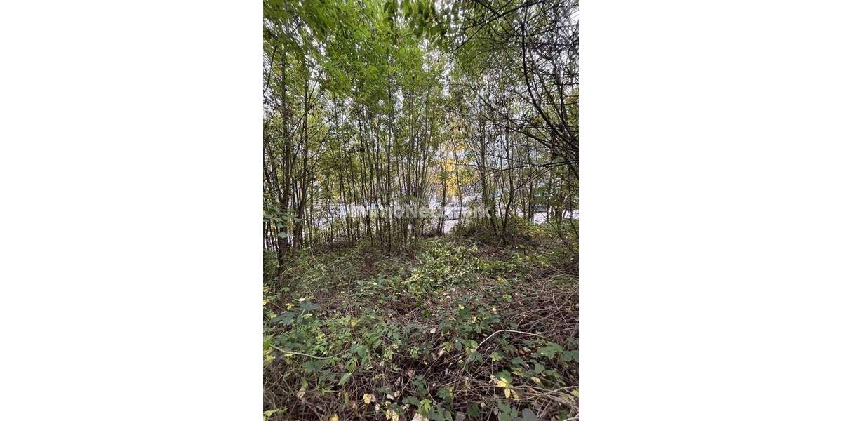 Grundstück Odenthal Blecher - 310.000&euro; | Angebot:24751799