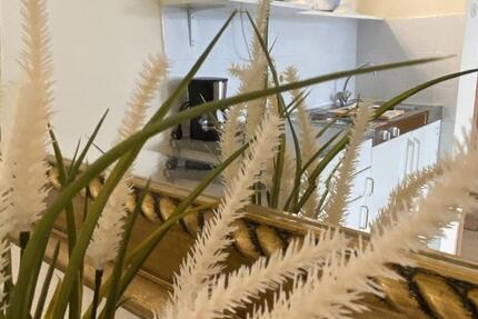 Wohnung Düsseldorf Pempelfort - 1 Zimmer, 27 m&sup2;, 1.050&euro; | Angebot:24864400