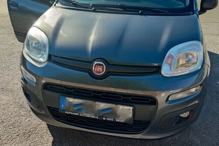Fiat Panda 72.000 km 5.990 &euro; Velbert 42549
