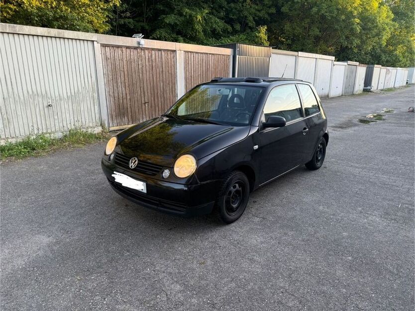 Lupo