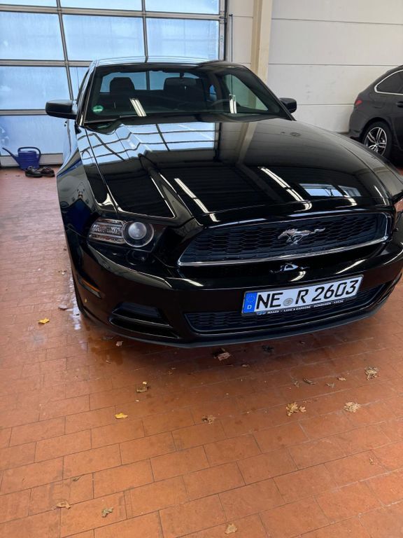 Mustang