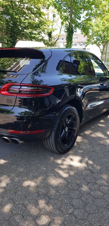 Macan