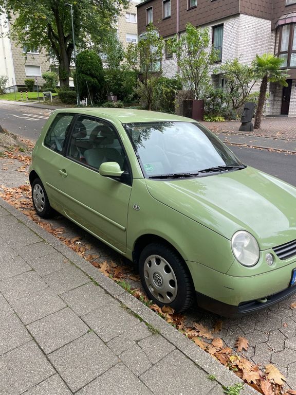 Lupo