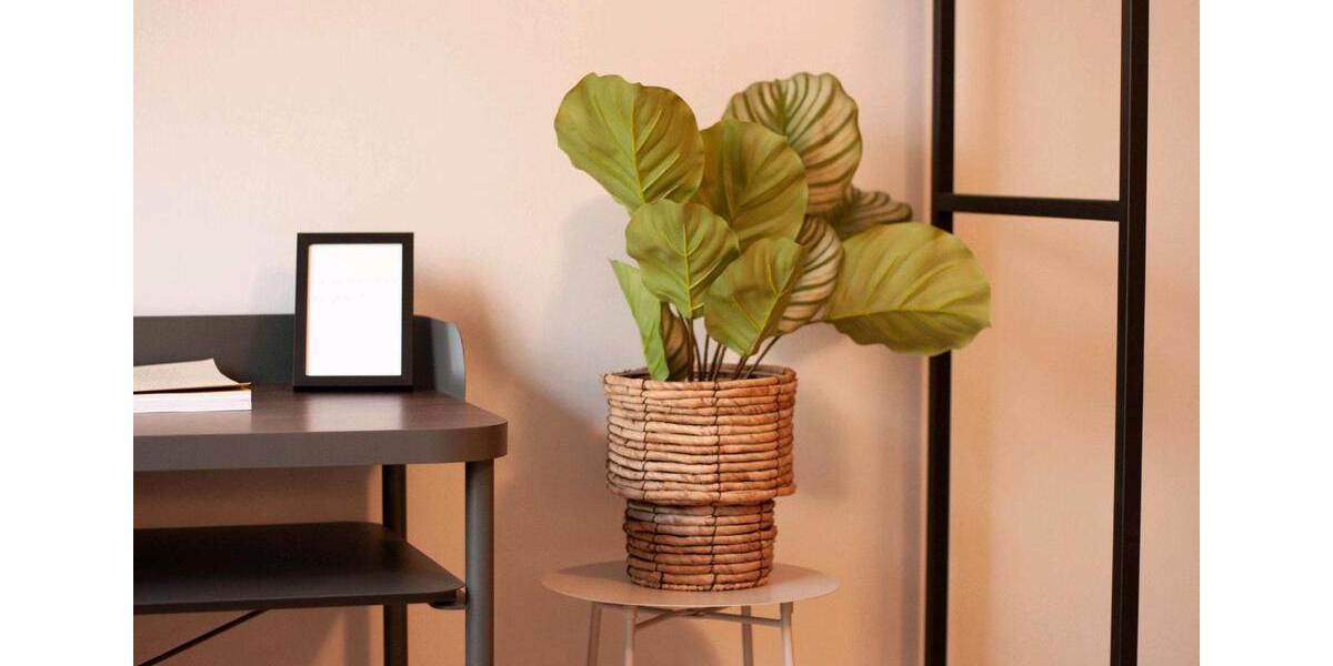 Etagenwohnung Düsseldorf Stadtbezirk 3 - 1 Zimmer, 30 m&sup2;, 790&euro; | Angebot:25891435