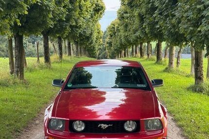 Ford Mustang 273.000 km 13.000 € Remscheid 42853