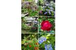 Charmante Eigentumswohnung mit wildromantischem Garten
