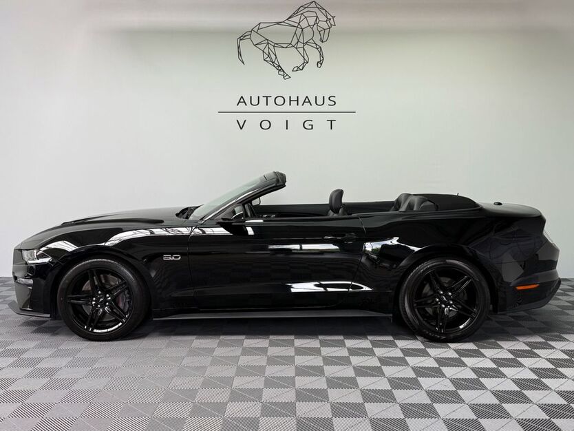 Mustang