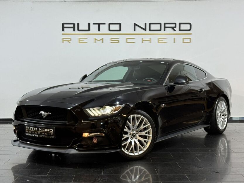 Mustang