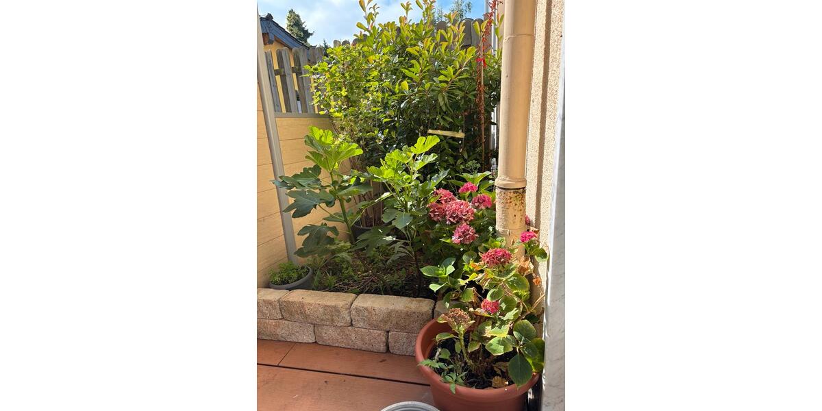 Erdgeschoßwohnung Solingen Ohligs - 2 Zimmer, 65 m&sup2;, 1.100&euro; | Angebot:26090528