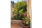 Erdgeschoßwohnung Solingen Ohligs - 2 Zimmer, 65 m&sup2;, 1.100&euro; | Angebot:26090528