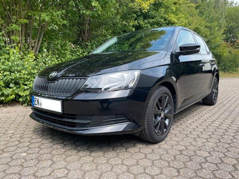 Skoda Fabia 32.023 km 8.490 € Wetter 58300